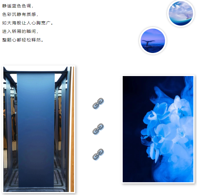 新品推荐 | asiagame电梯解锁艺术蓝|asiagame电梯官网