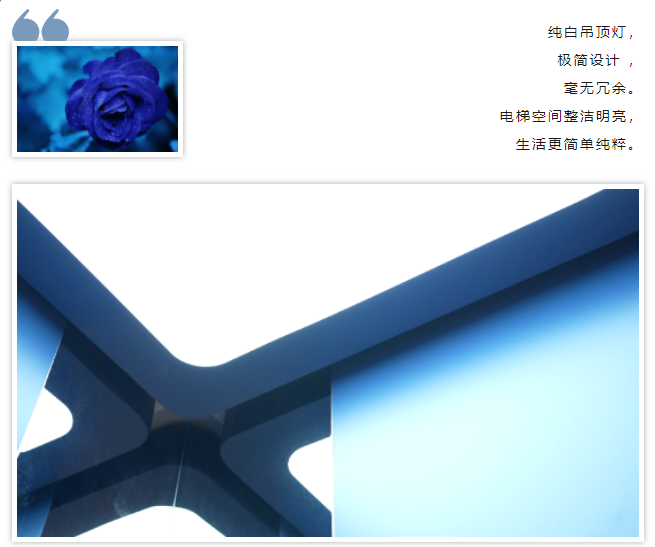 新品推荐 | asiagame电梯解锁艺术蓝|asiagame电梯官网